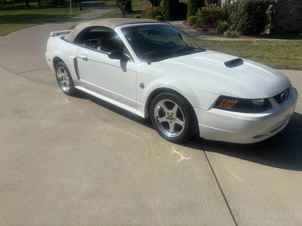 2004 Ford SN95 Mustang - Image 8 of 14