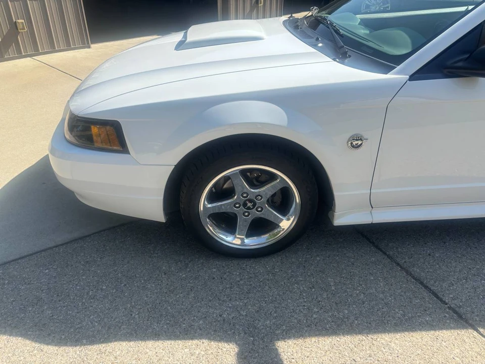 2004 Ford SN95 Mustang - Image 14 of 14