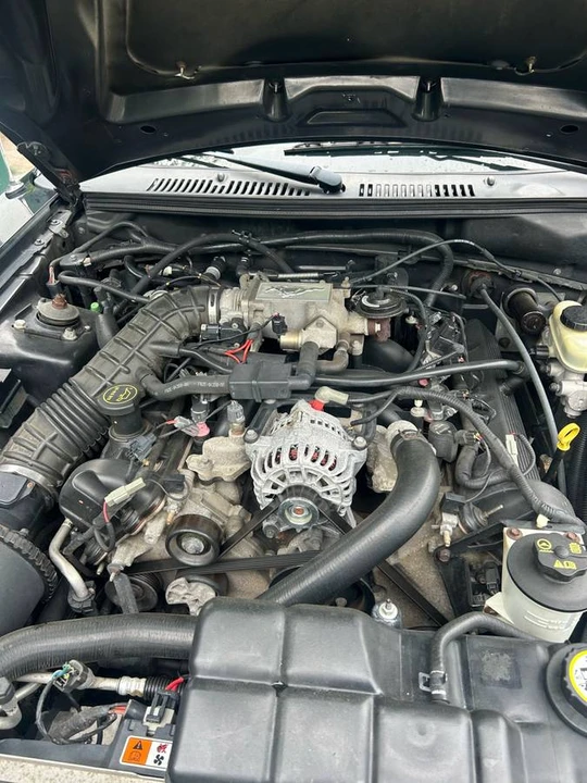 2004 Ford SN95 Mustang - Image 4 of 11
