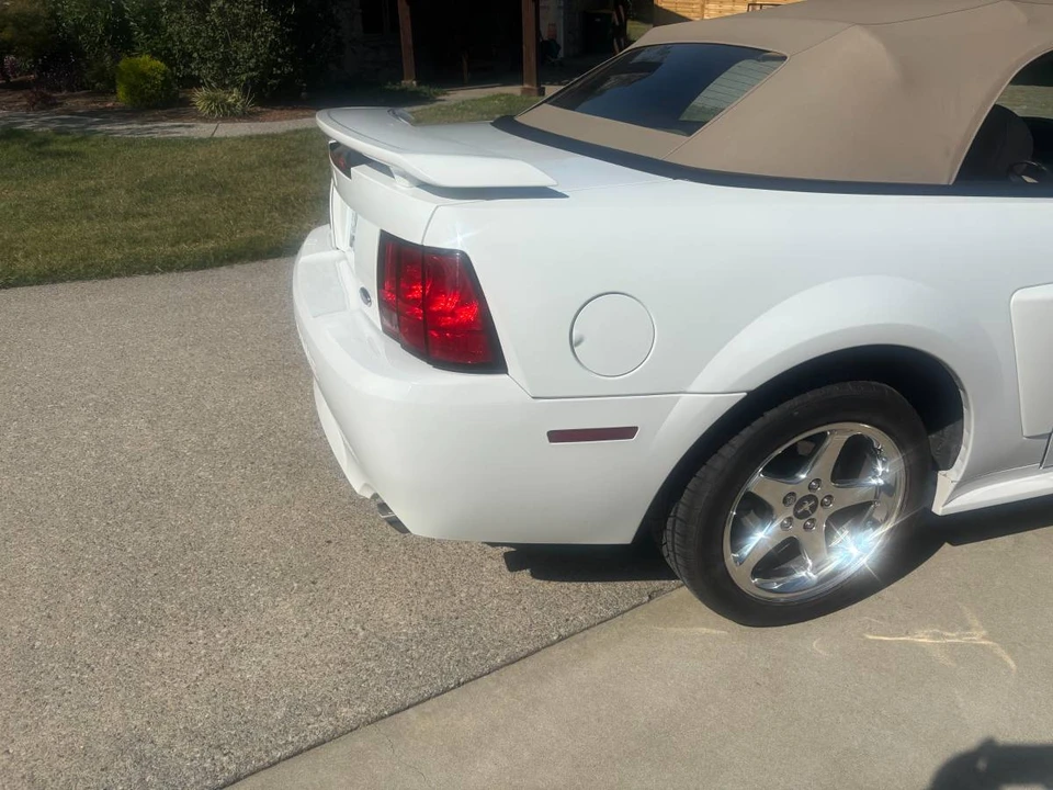 2004 Ford SN95 Mustang - Image 11 of 14