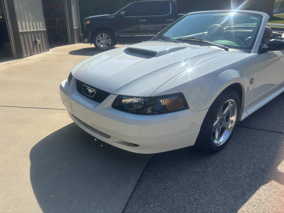 2004 Ford SN95 Mustang - Image 2 of 14