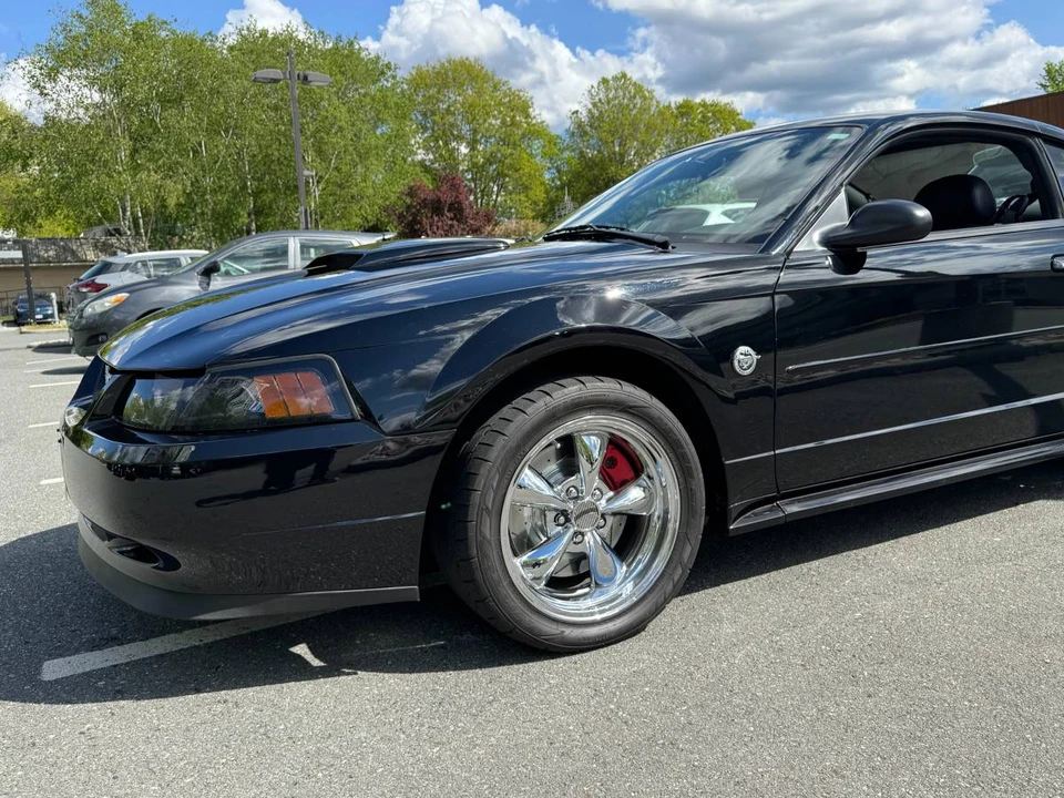 2004 Ford SN95 Mustang - Image 4 of 24