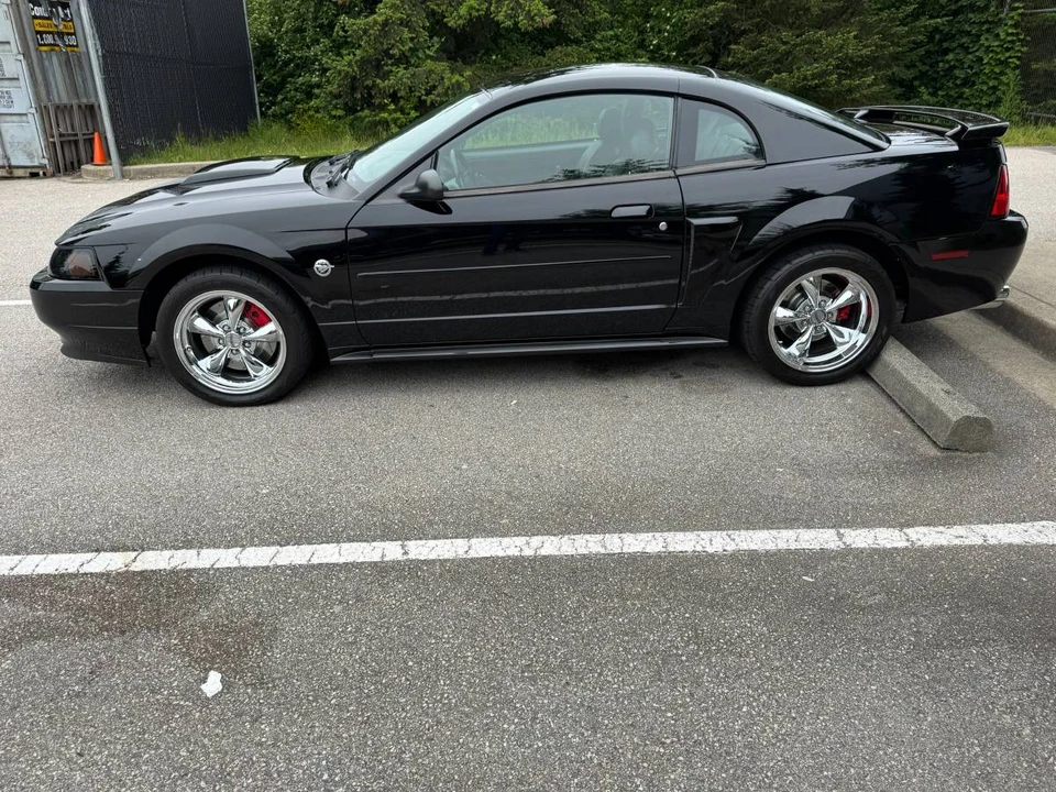 2004 Ford SN95 Mustang - Image 5 of 24