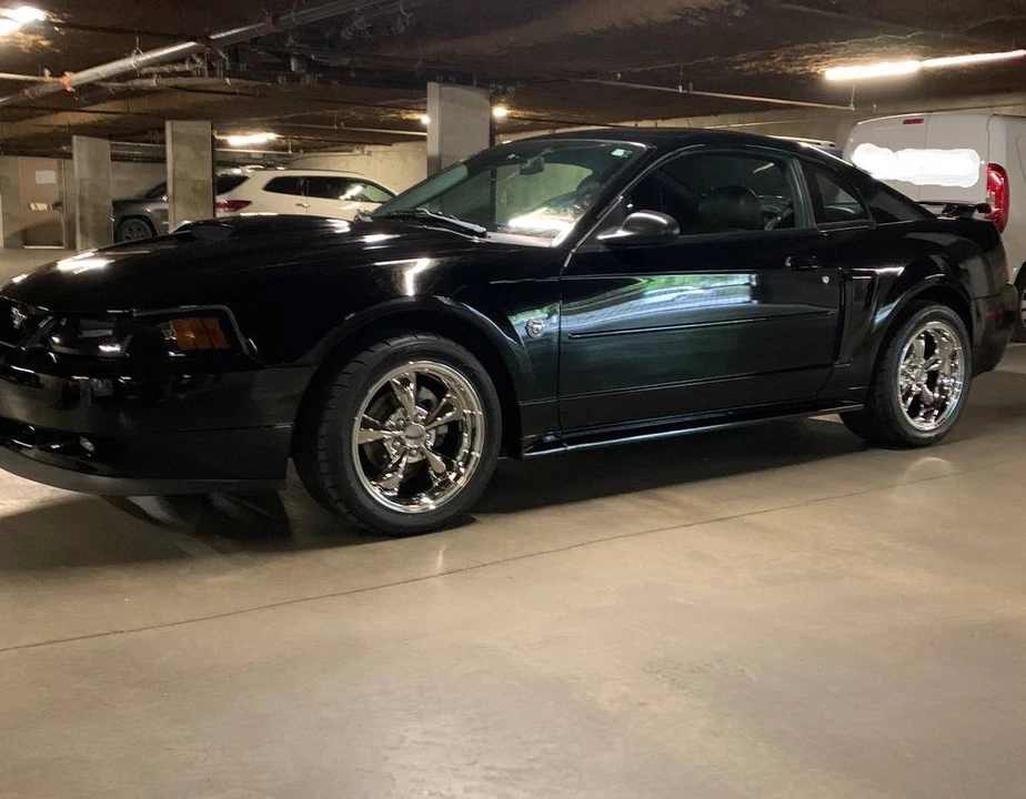 2004 Ford SN95 Mustang - Image 9 of 24