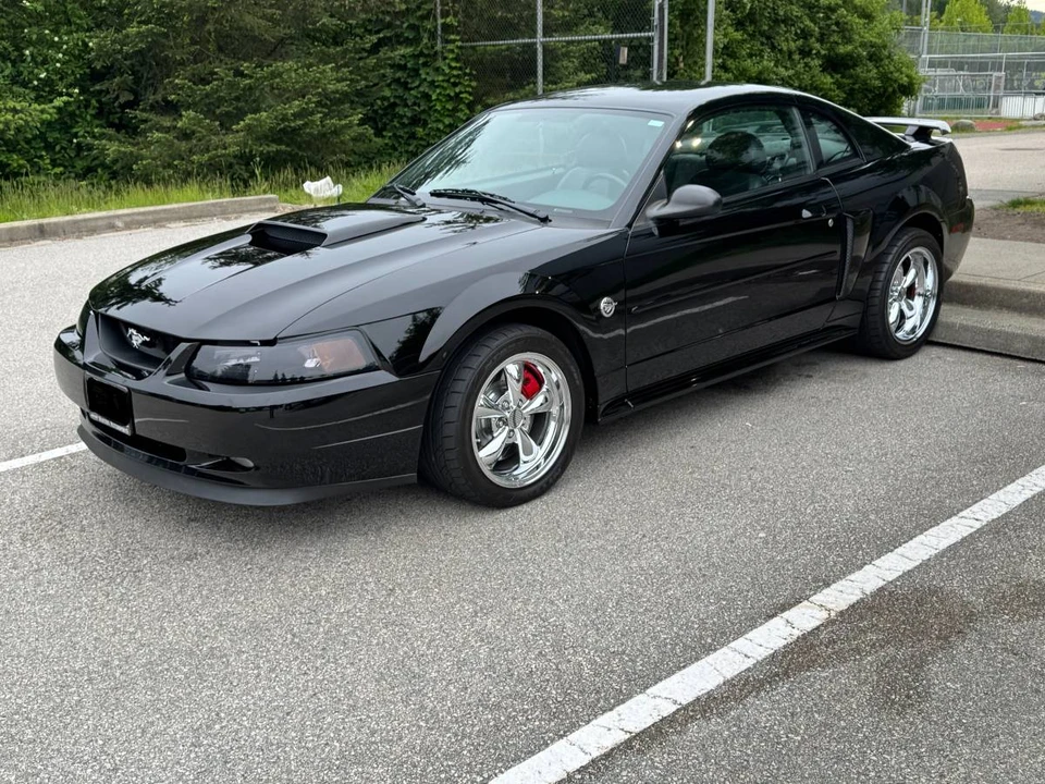 2004 Ford SN95 Mustang - Image 8 of 24