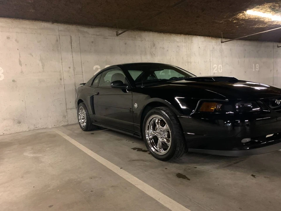 2004 Ford SN95 Mustang - Image 12 of 24