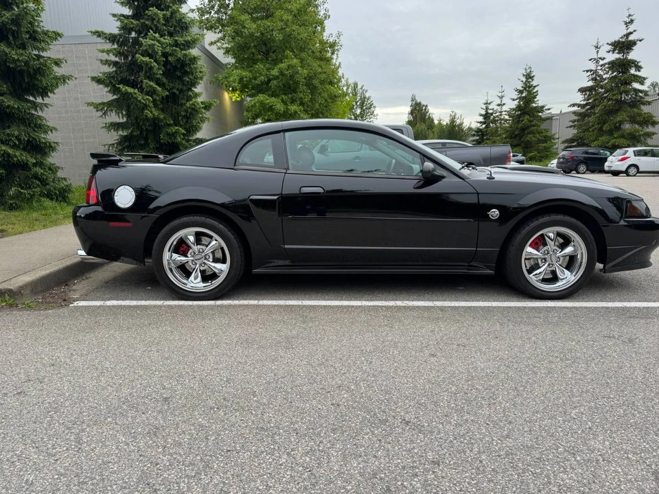 2004 Ford SN95 Mustang - Image 6 of 24