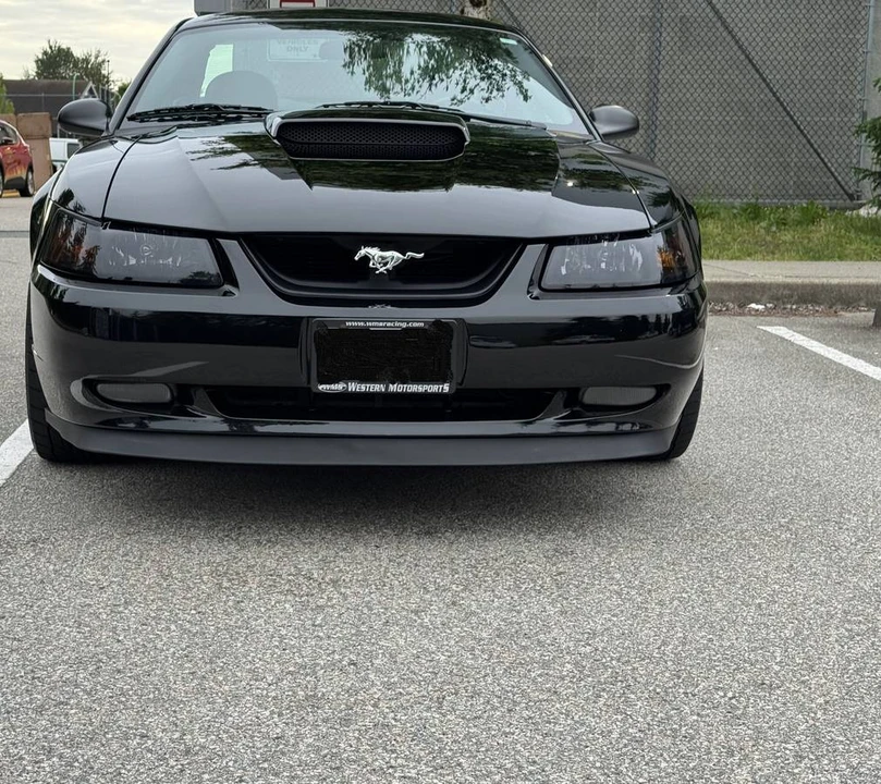 2004 Ford SN95 Mustang - Image 7 of 24
