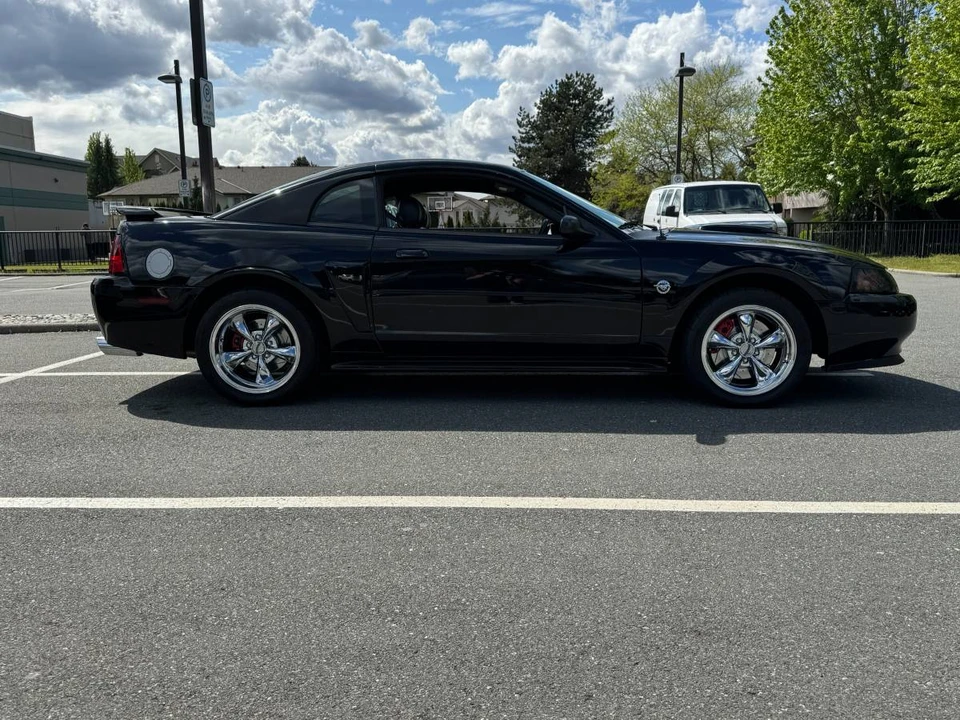 2004 Ford SN95 Mustang - Image 2 of 24