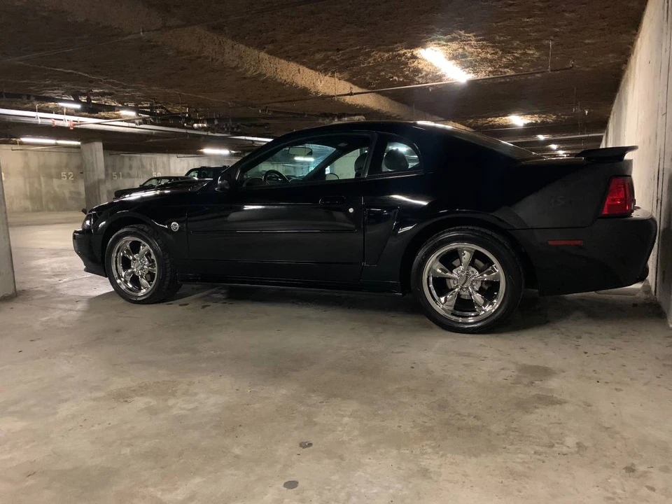2004 Ford SN95 Mustang - Image 14 of 24