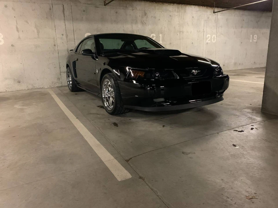 2004 Ford SN95 Mustang - Image 15 of 24