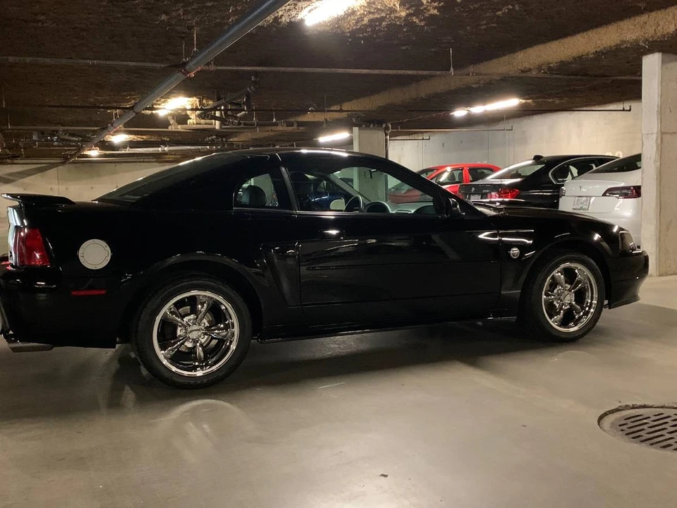2004 Ford SN95 Mustang - Image 10 of 24