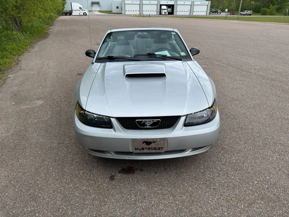 2004 Ford SN95 Mustang - Image 3 of 9
