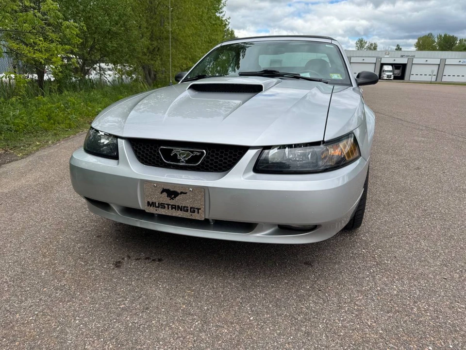 2004 Ford SN95 Mustang - Image 5 of 9