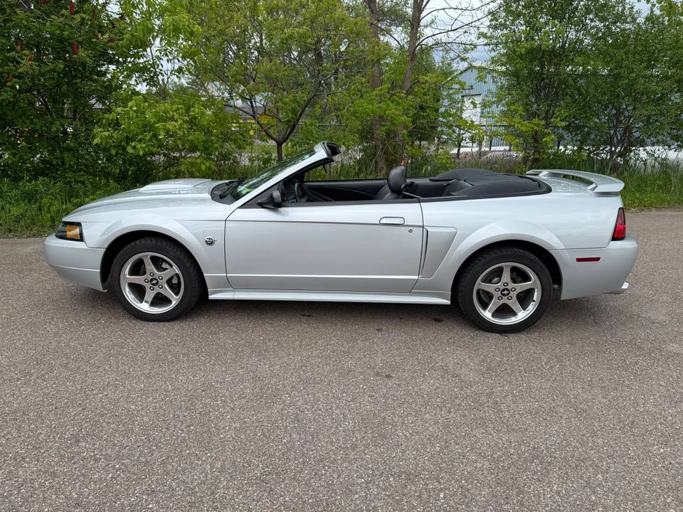 2004 Ford SN95 Mustang - Image 2 of 9