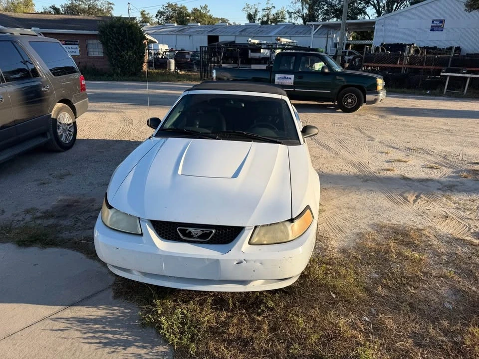 2004 Ford SN95 Mustang - Image 3 of 8