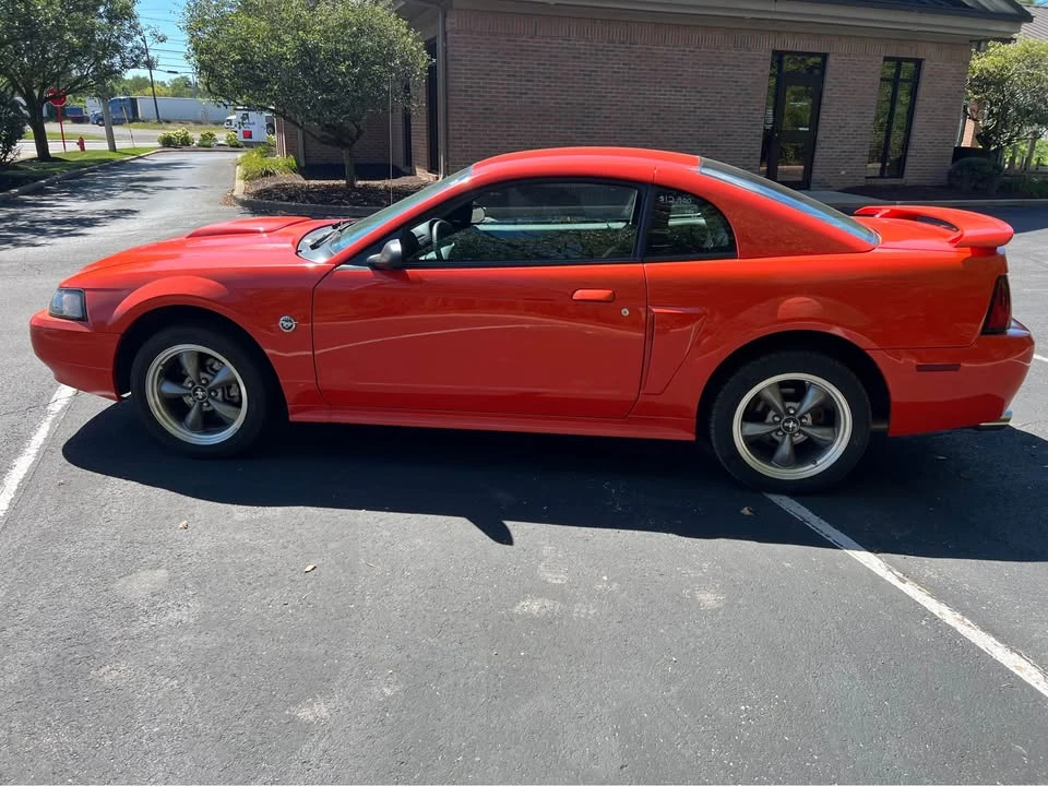 2004 Ford SN95 Mustang - Image 8 of 15