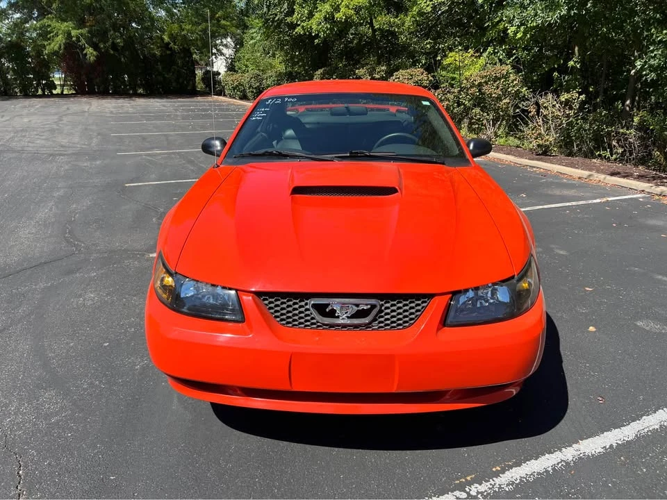 2004 Ford SN95 Mustang - Image 2 of 15