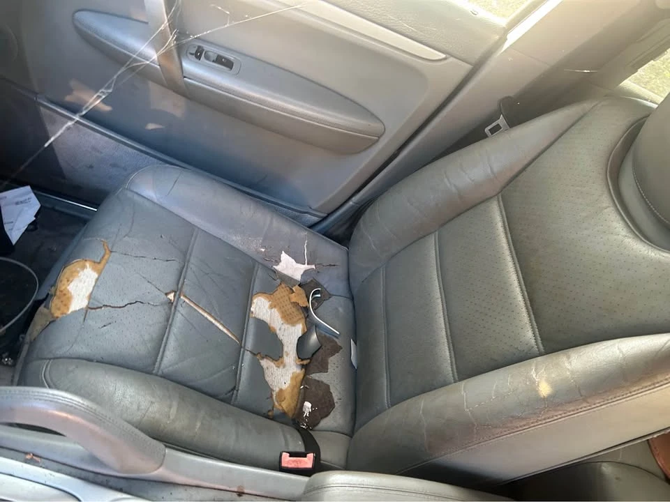 2004 Porsche 955/957 Cayenne S - Image 12 of 13