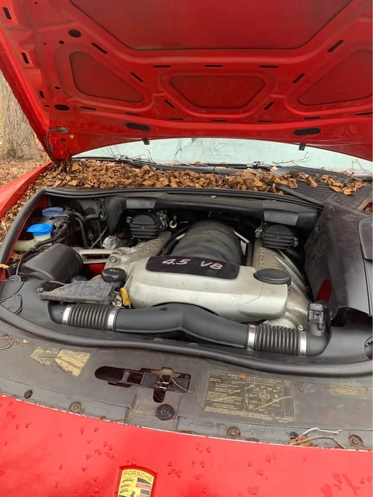 2004 Porsche 955/957 Cayenne S - Image 8 of 11