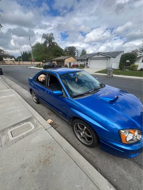 2004 Subaru Impreza WRX 2nd Gen - Image 2 of 7