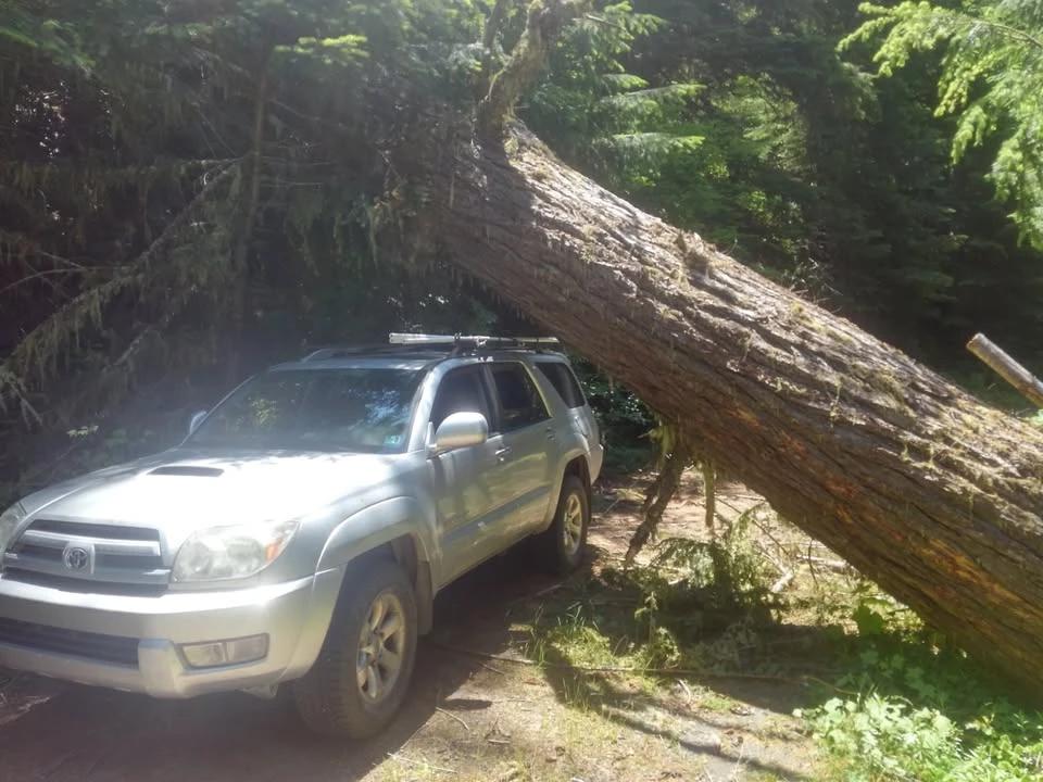 2004 Toyota 4Runner 4th Gen - Image 14 of 15