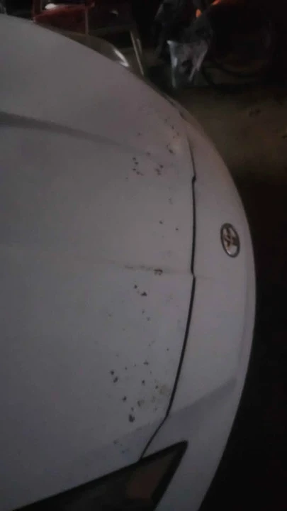 2004 Toyota Celica 7th Gen - Image 8 of 12