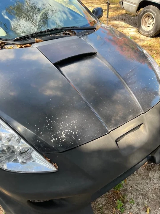 2004 Toyota Celica 7th Gen - Image 14 of 14