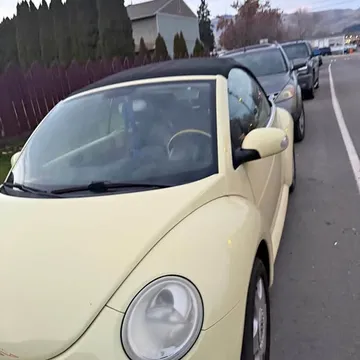 2004 Volkswagen Beetle 2.0T Final Edition SEL Convertible