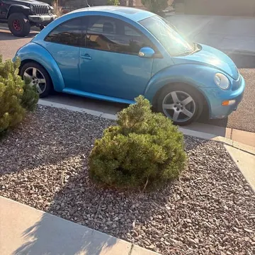 2004 Volkswagen Beetle