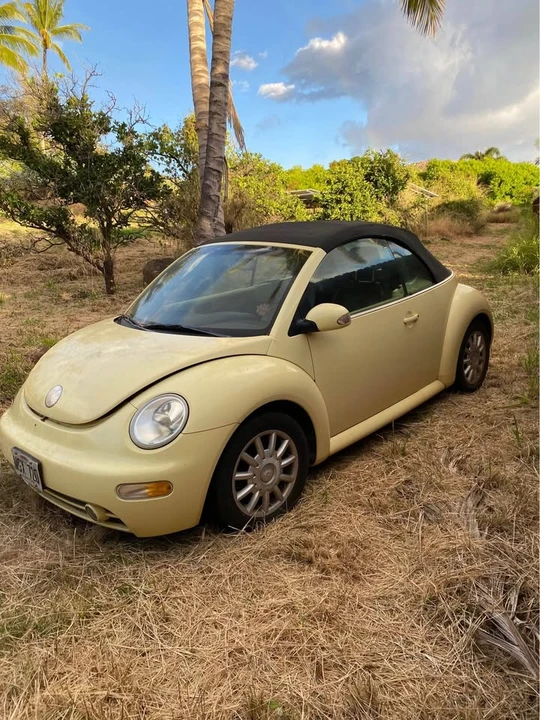 2004 Volkswagen New Beetle - Image 3 of 4