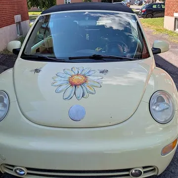 2004 Volkswagen Beetle