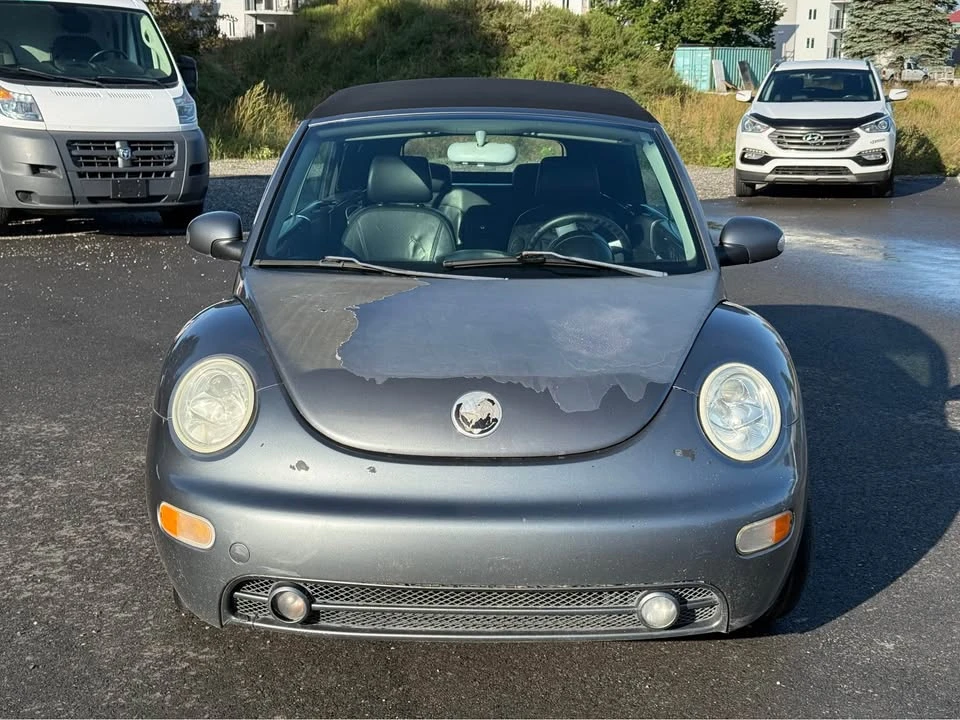 2004 Volkswagen New Beetle - Image 2 of 19