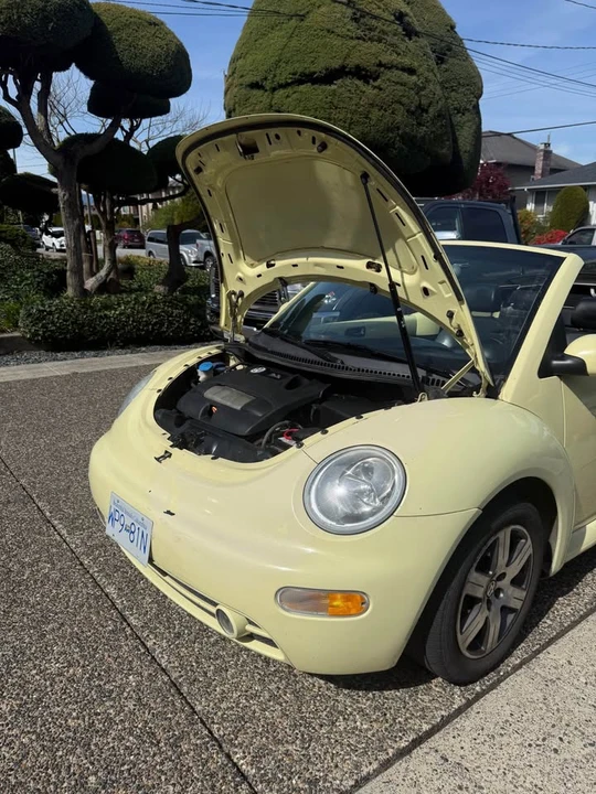 2004 Volkswagen New Beetle - Image 2 of 11
