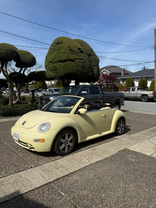 2004 Volkswagen New Beetle - Image 3 of 11