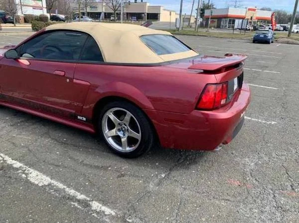 2004 Ford SN95 Mustang - Image 4 of 4