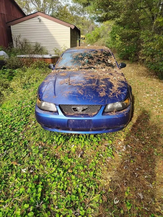 2004 Ford SN95 Mustang - Image 2 of 4