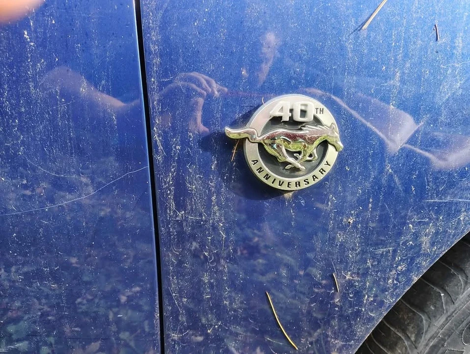 2004 Ford SN95 Mustang - Image 3 of 4