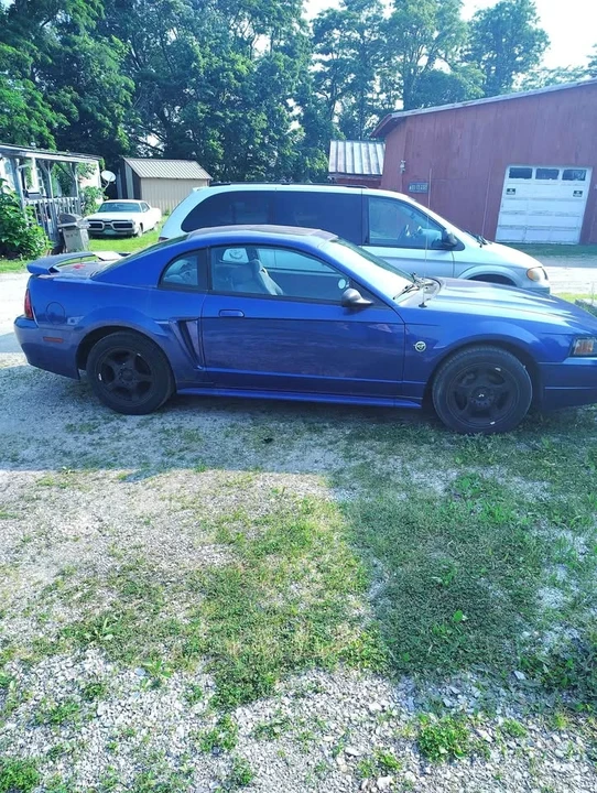 2004 Ford SN95 Mustang - Image 4 of 4