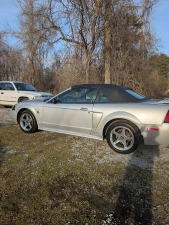 2004 Ford SN95 Mustang - Image 10 of 12