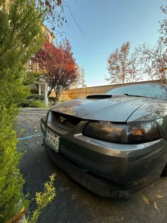 2004 Ford SN95 Mustang - Image 8 of 12