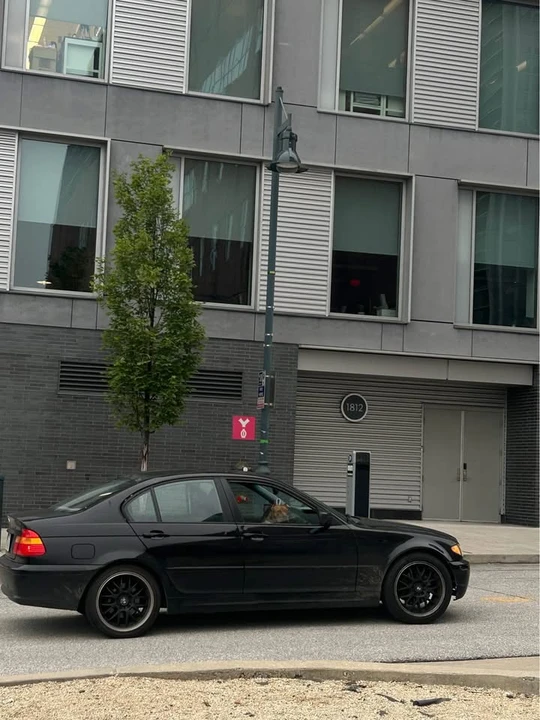 2005 BMW E46 3 Series - Image 3 of 10