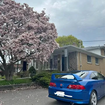 2005 Acura RSX Premium Base