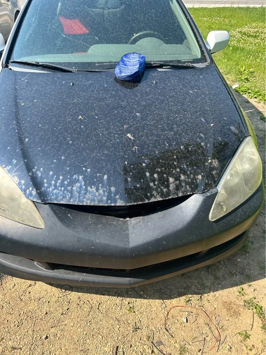 2005 Acura RSX - Image 3 of 5