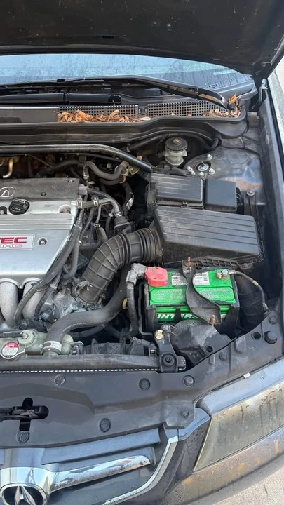 2005 Acura TLX - Image 6 of 10