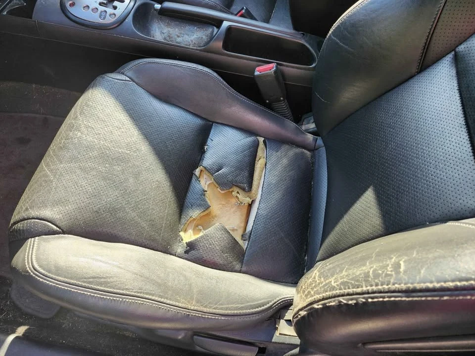 2005 Acura RSX - Image 7 of 9