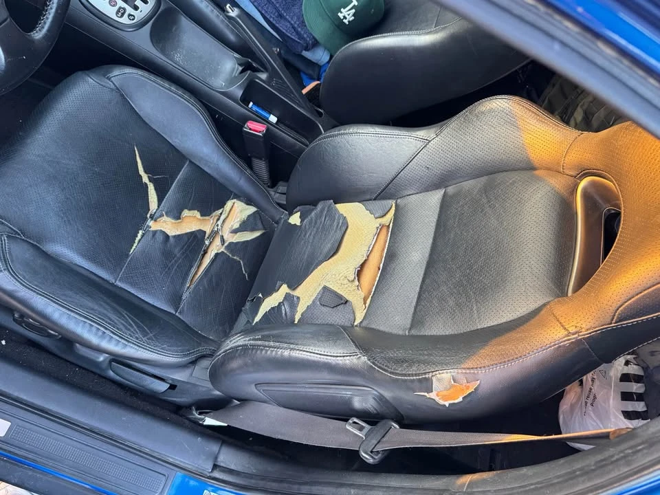 2005 Acura Integra 4th Gen - Image 7 of 8