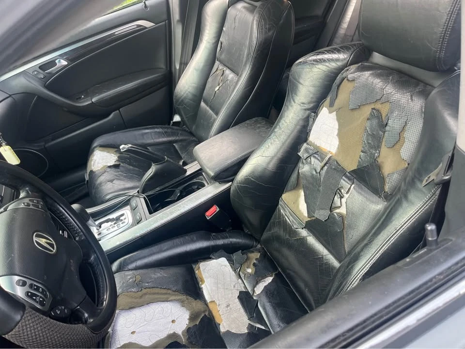 2005 Acura TL 3rd Gen - Image 6 of 6