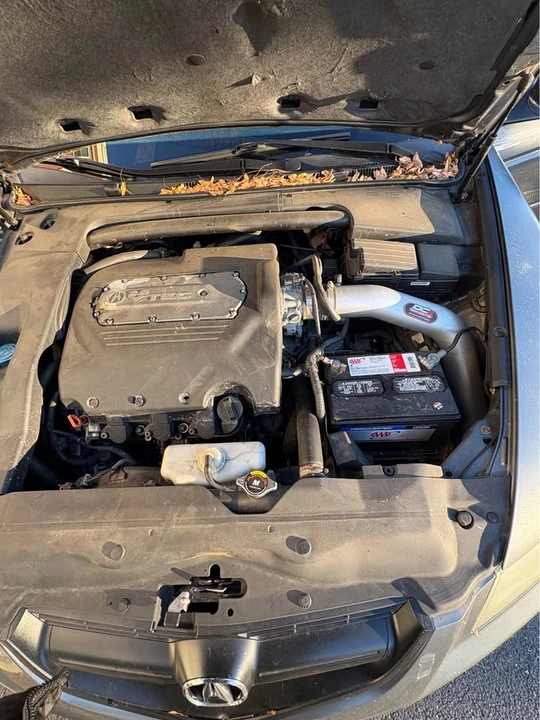 2005 Acura TL 3rd Gen - Image 11 of 11