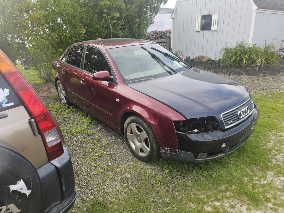 2005 Audi B7 A4 - Image 2 of 14